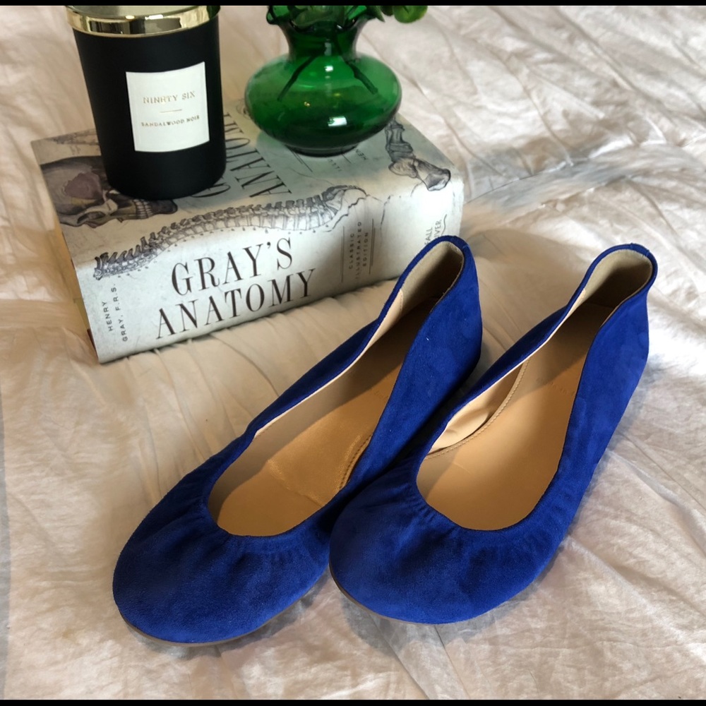 J. Crew Cecelia Suede Ballet Flats - Sz 6.5